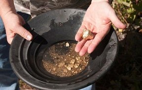 незаконная добыча золота в России