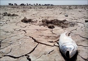 засуха в Иране