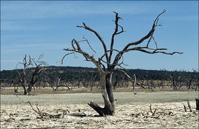засуха в Центральной Азии