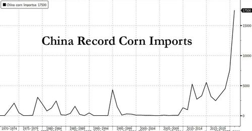 Рекордно высокий импорт кукурузы и пшеницы в Китай на фоне резкого роста цен на продукты питания