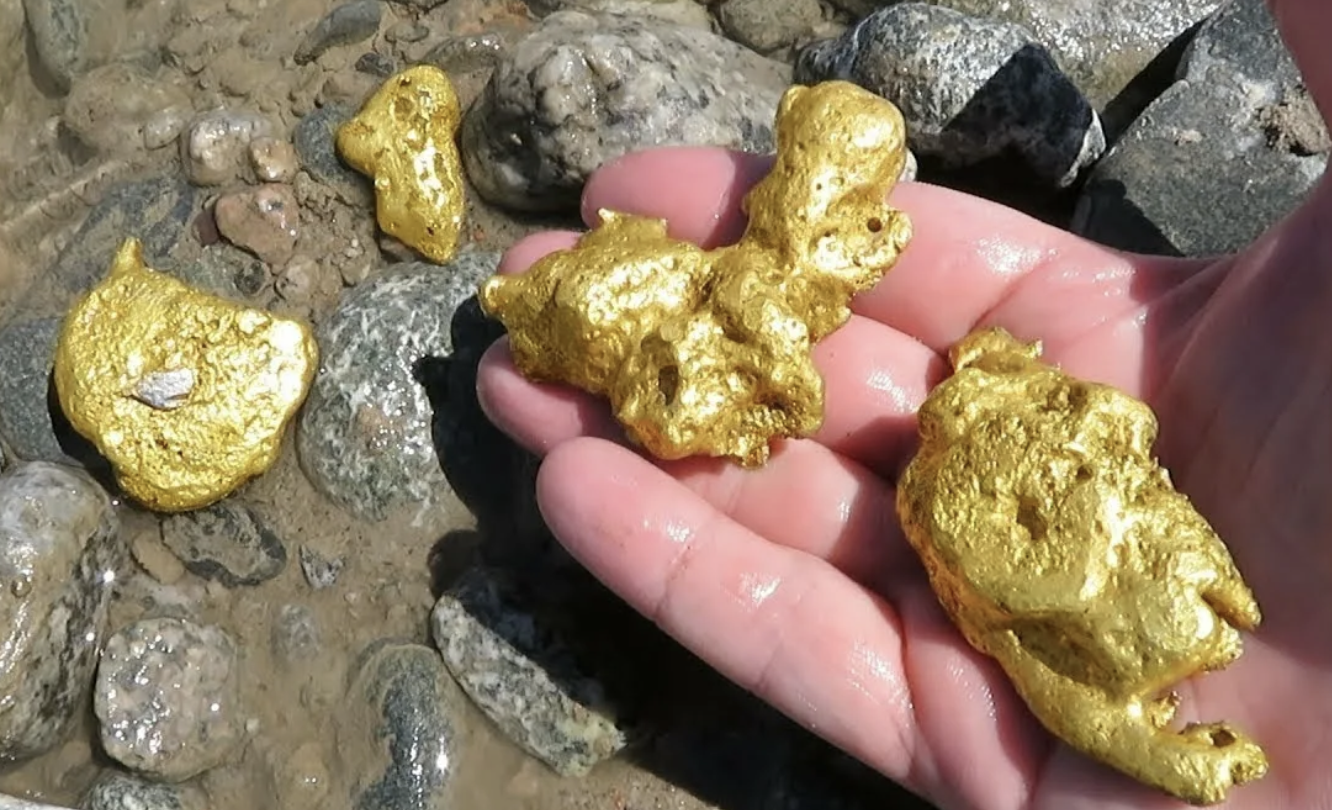 В каком году нашли первое золото. Находка "золота Бактрии". Находка самородок золотой самородок. Золото в земле. Золотой самородок в земле.