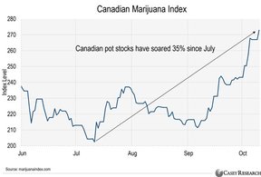 канадские марихуановые акции