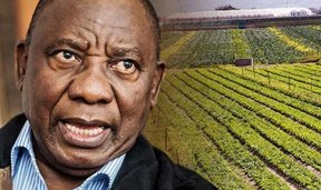 конфискация земель белых фермеров в ЮАР