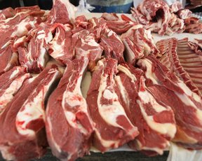 экспорт мяса из россии