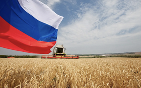 экспорт сельхозпродукции из россии