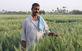 индийский фермер