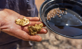 меры поддержки золотодобытчиков