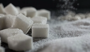 производство сахара в странах таможенного союза