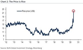 цена на рис