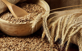 цены на пшеницу