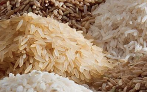 запретить экспорт риса